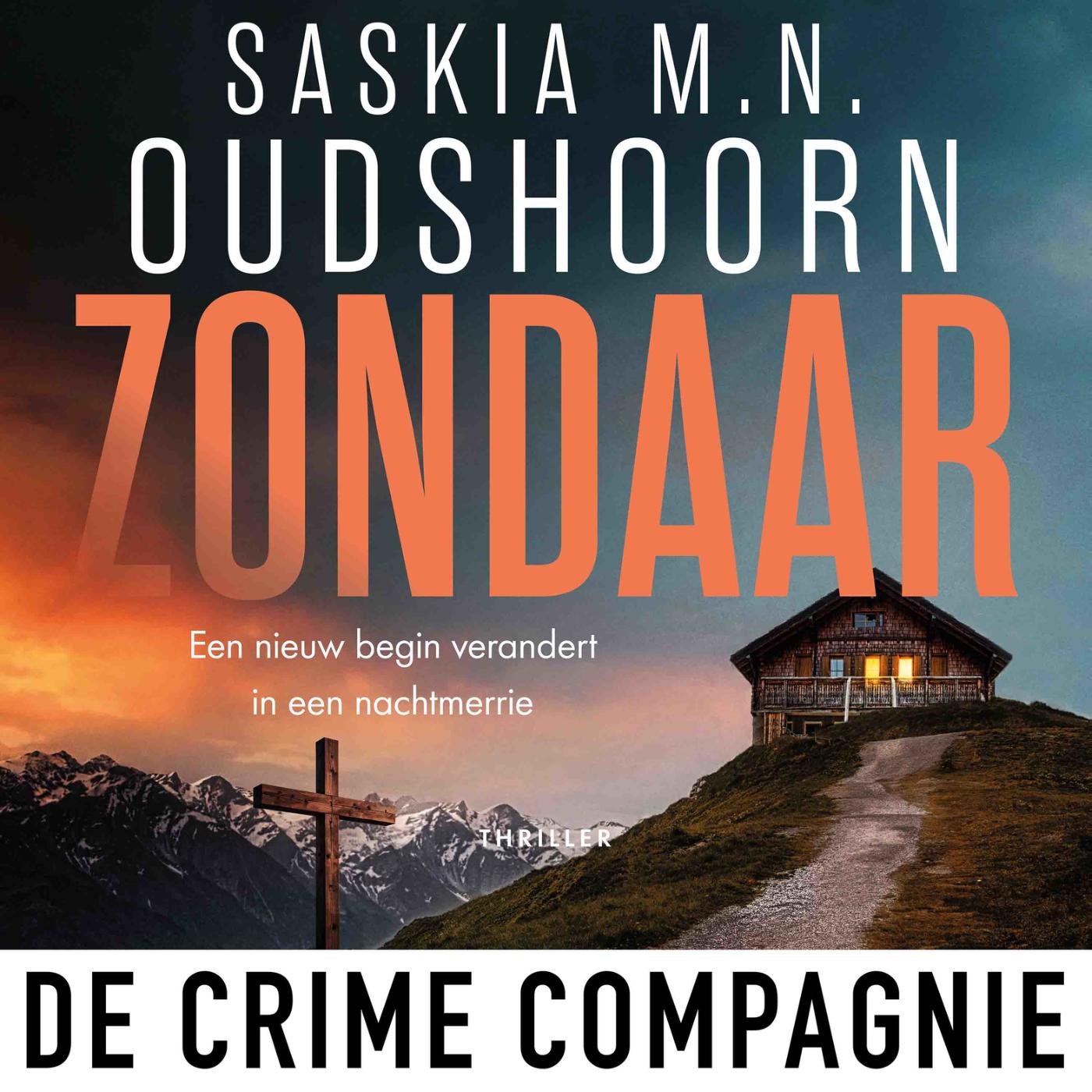 Omslag van Zondaar