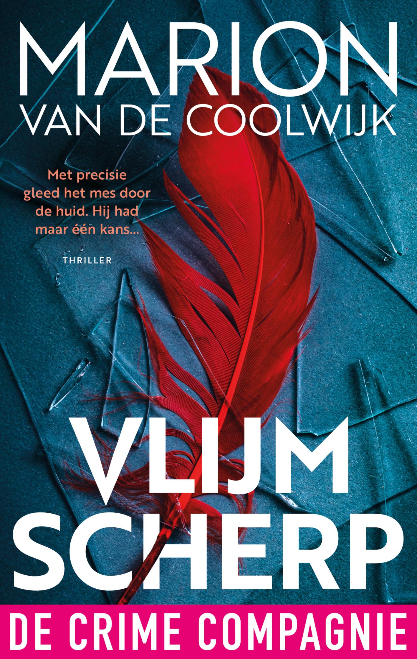 Omslag van Vlijmscherp