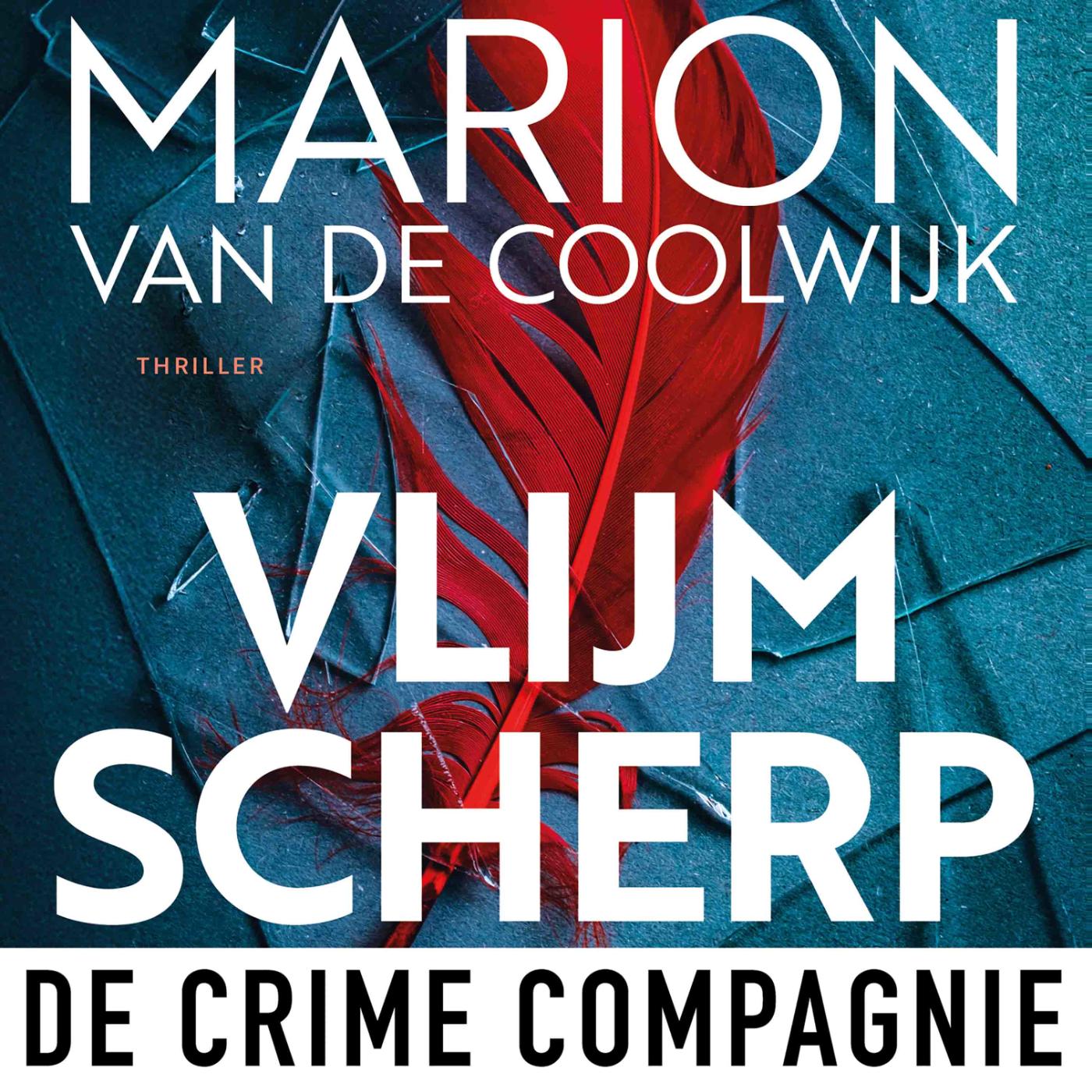 Omslag van Vlijmscherp