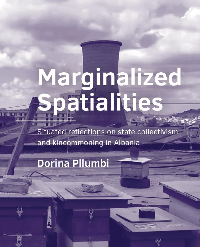 Omslag van Marginalized Spatialities