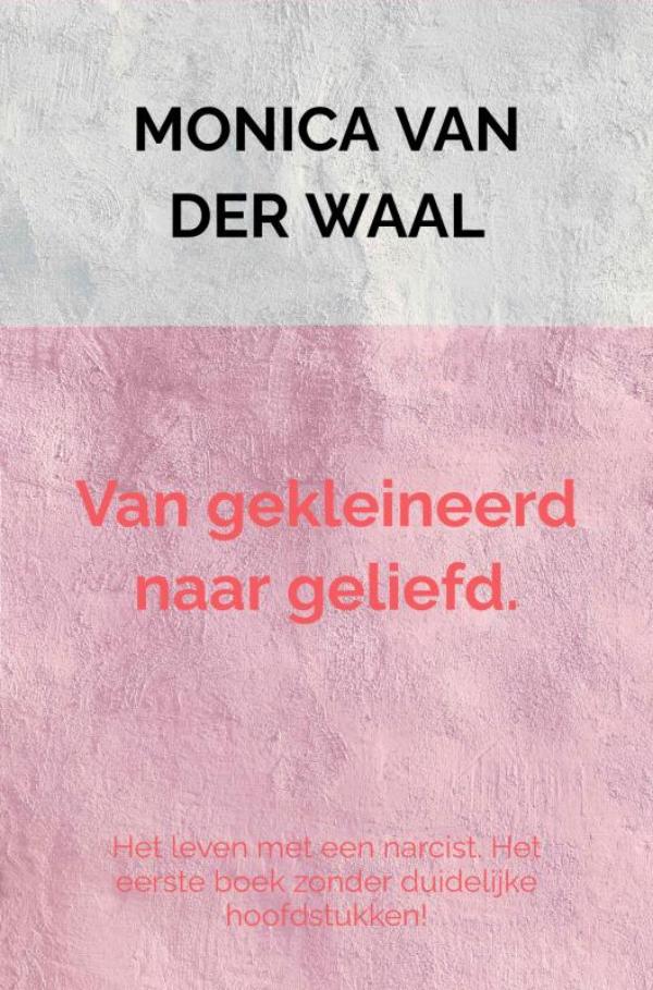 Omslag van Van gekleineerd naar geliefd.