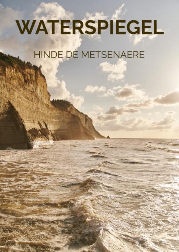 Omslag van Waterspiegel