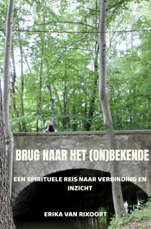 Omslag van Brug naar het (on)bekende