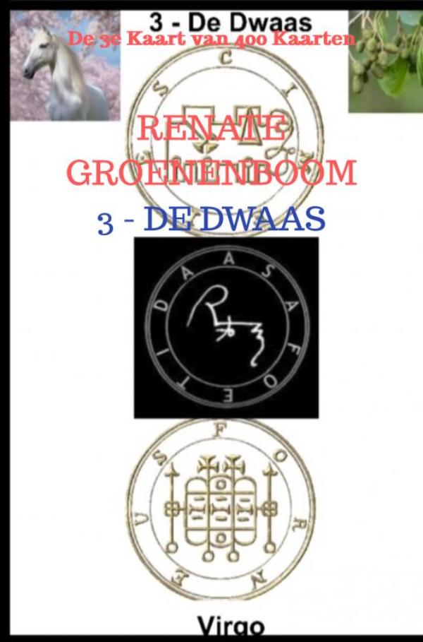 Omslag van De Dwaas
