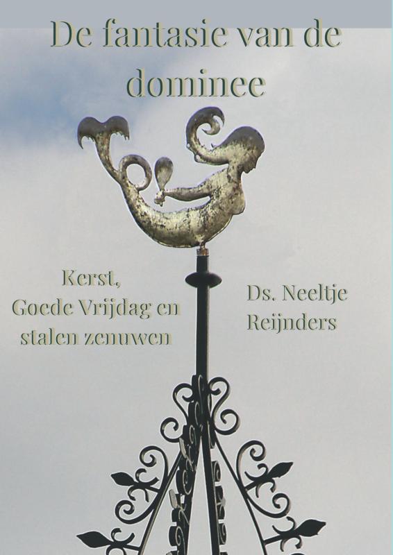 Omslag van De fantasie van de dominee