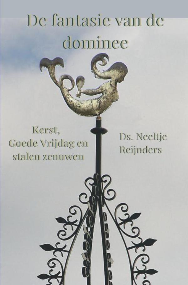 Omslag van De fantasie van de dominee