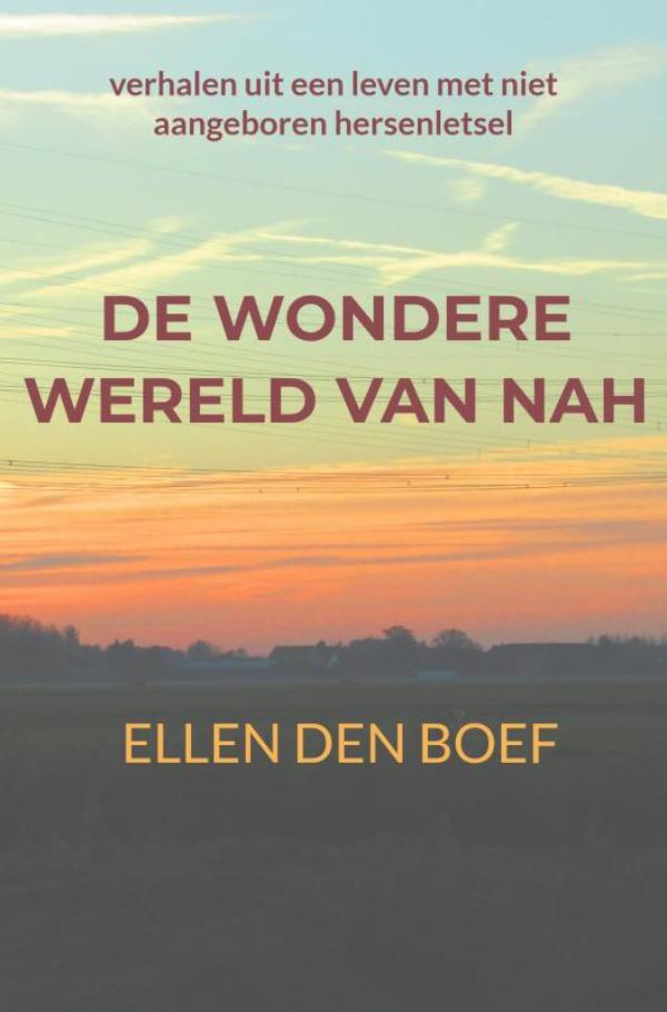 Omslag van de wondere wereld van NAH