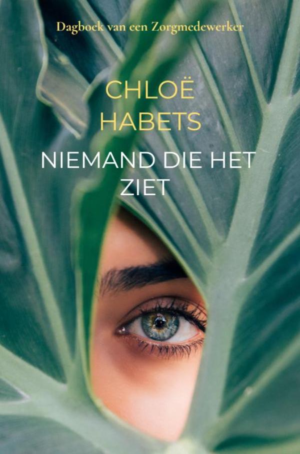 Omslag van Niemand die het ziet