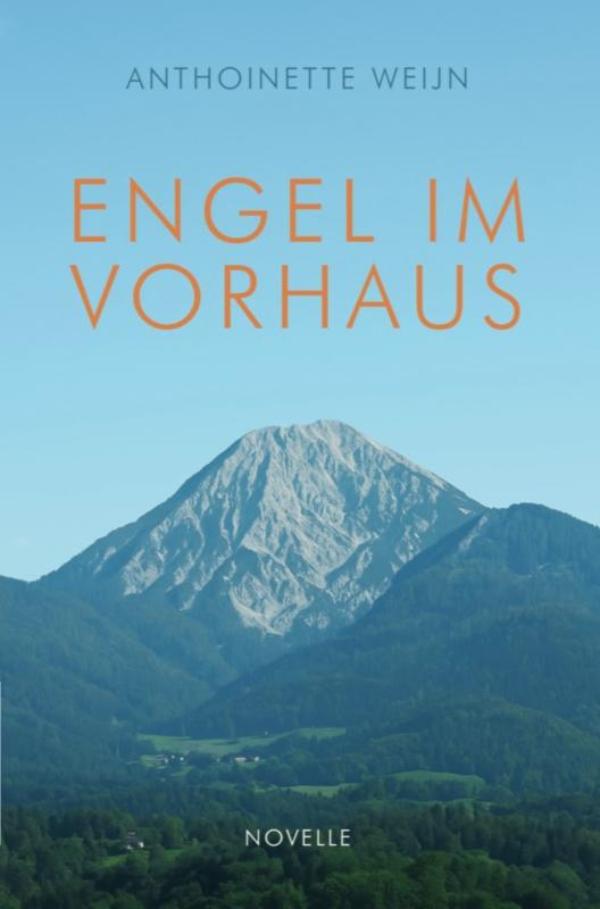 Omslag van Engel im Vorhaus