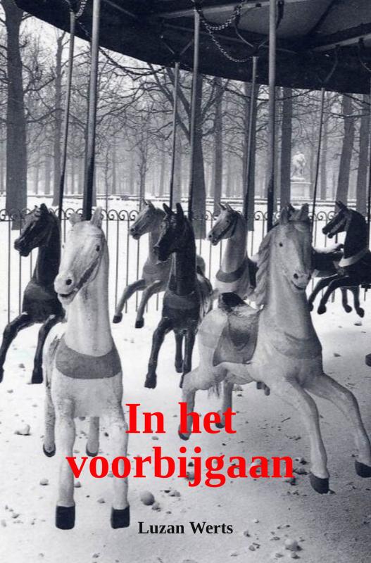 Omslag van in het voorbijgaan