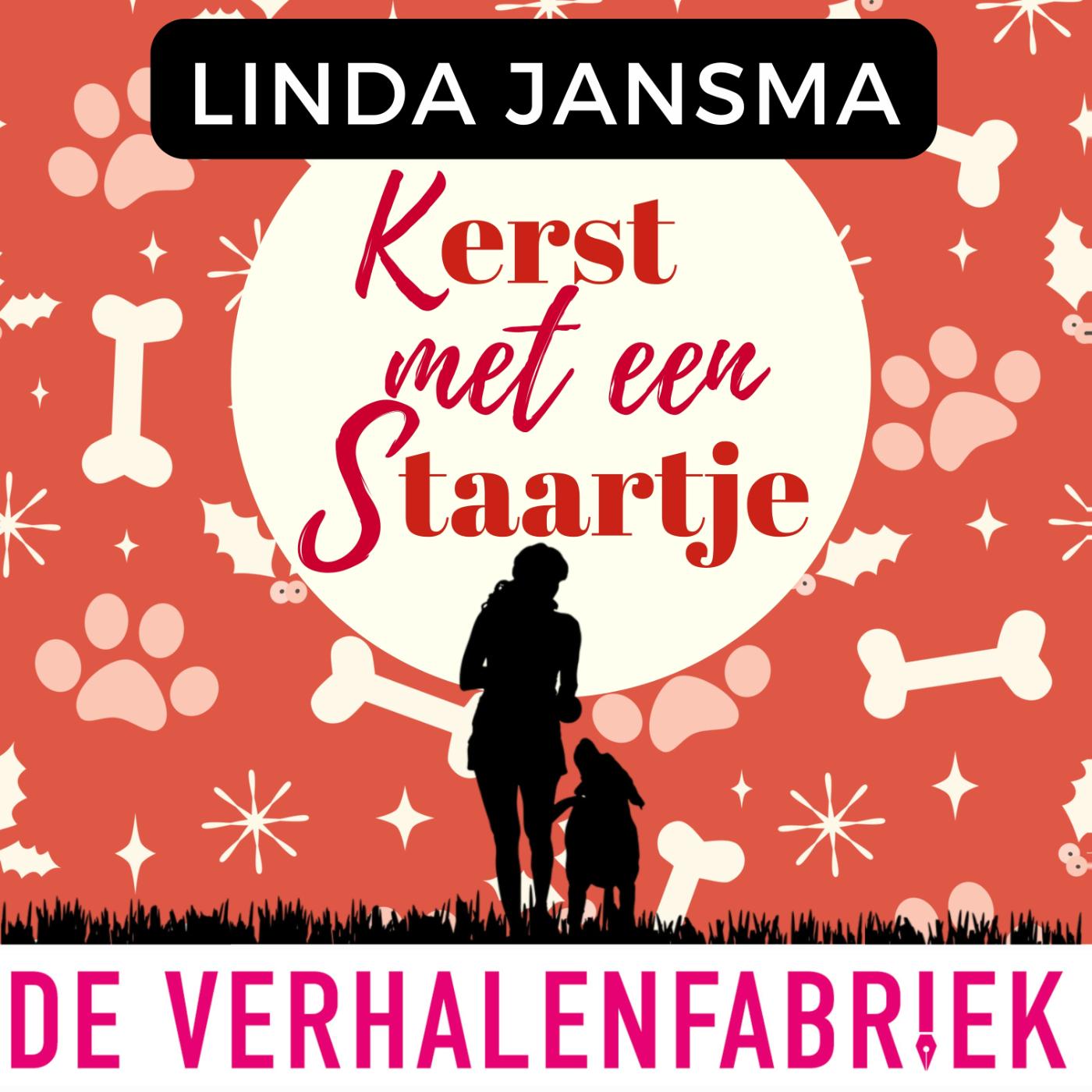 Omslag van Kerst met een staartje
