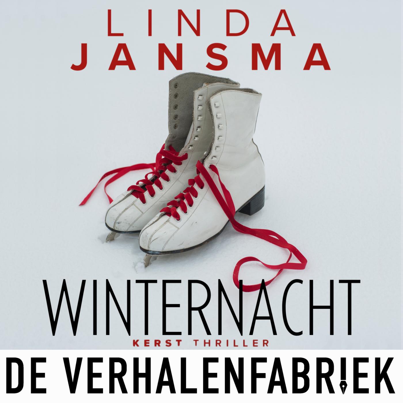 Omslag van Winternacht