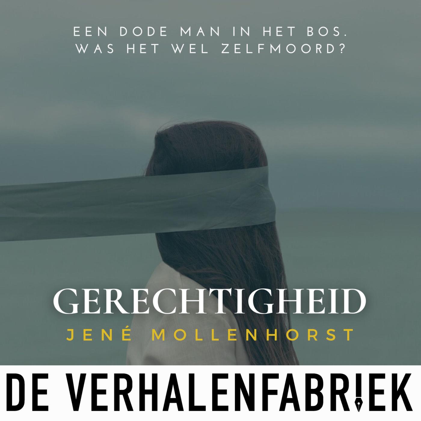 Omslag van Gerechtigheid
