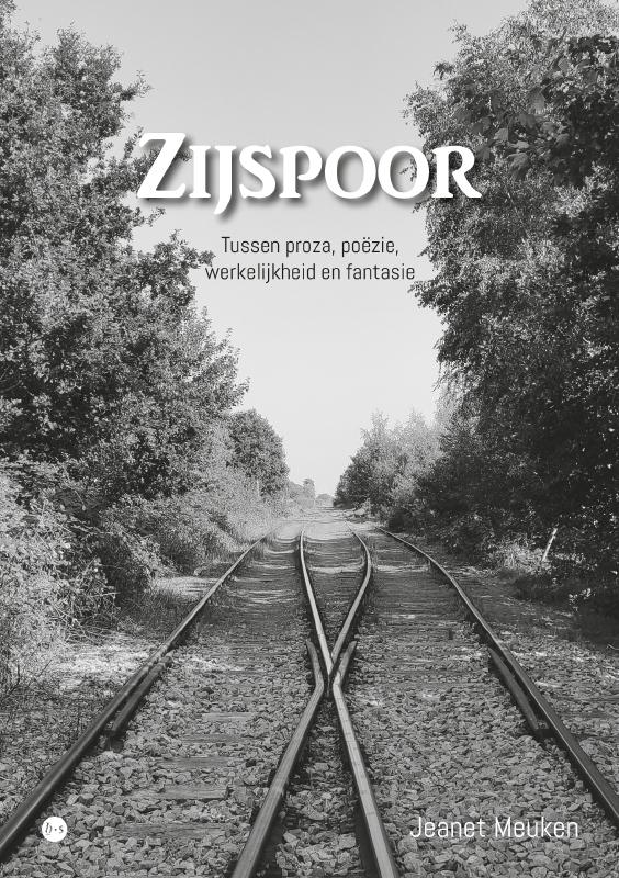 Omslag van Zijspoor