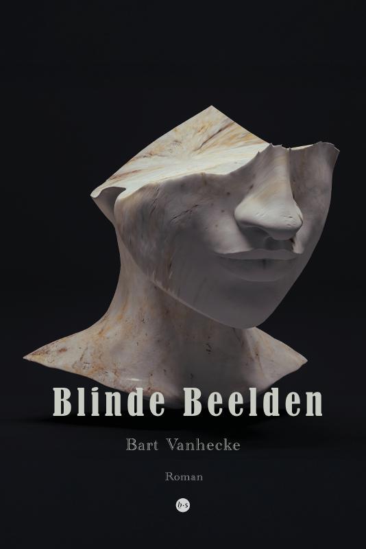 Omslag van Blinde Beelden