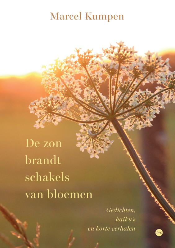 Omslag van De zon brandt schakels van bloemen