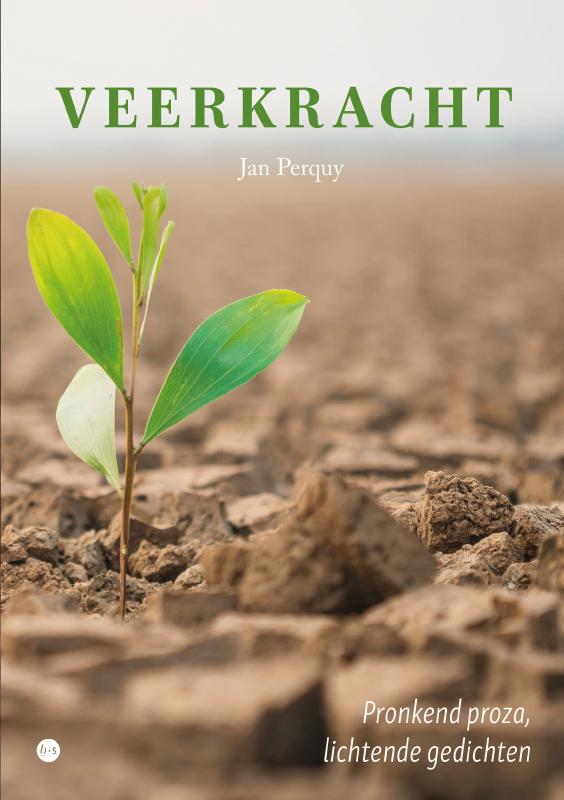 Omslag van Veerkracht