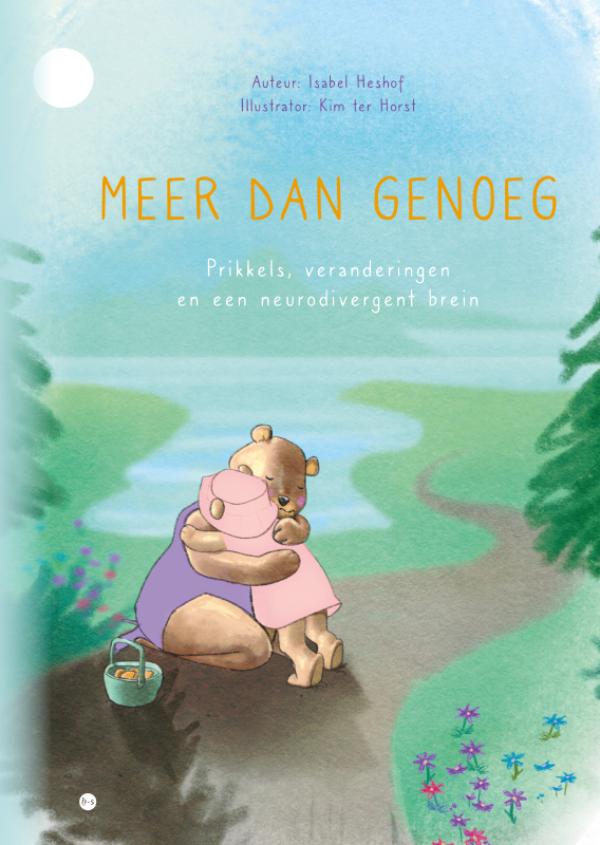 Omslag van Meer dan genoeg
