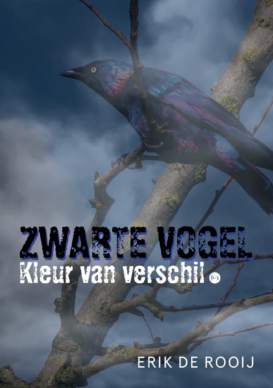 Omslag van Zwarte vogel