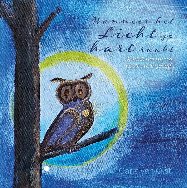 Omslag van Wanneer het Licht je hart raakt