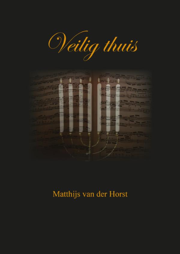 Omslag van Veilig thuis