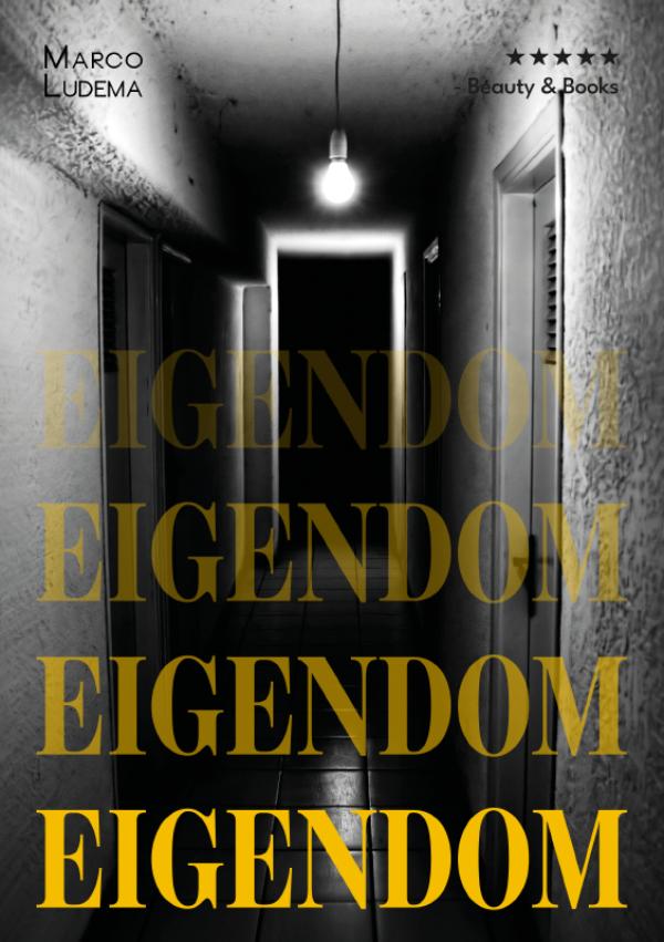 Omslag van Eigendom