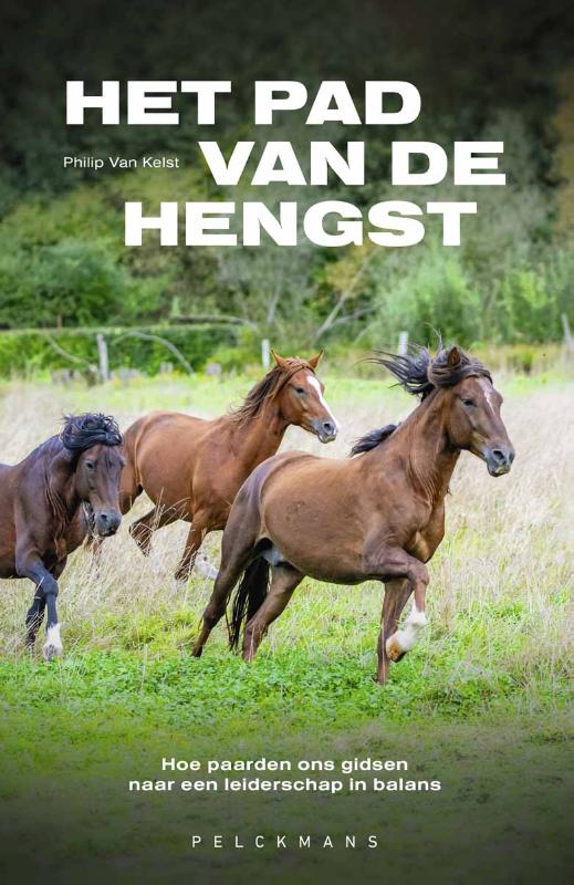 Omslag van Het pad van de hengst