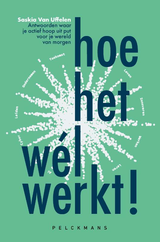 Omslag van Hoe het wél werkt!