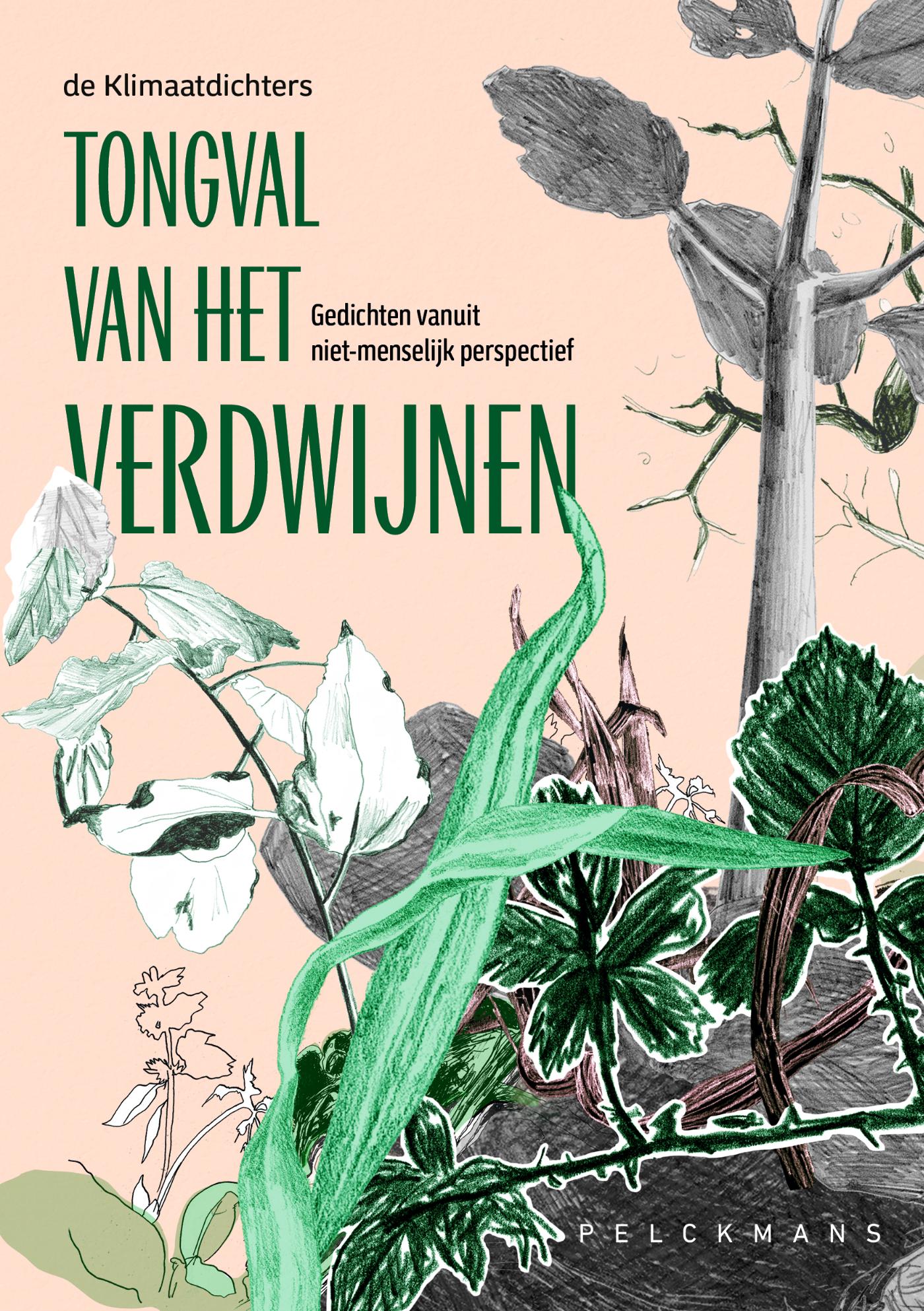Omslag van Tongval van het verdwijnen