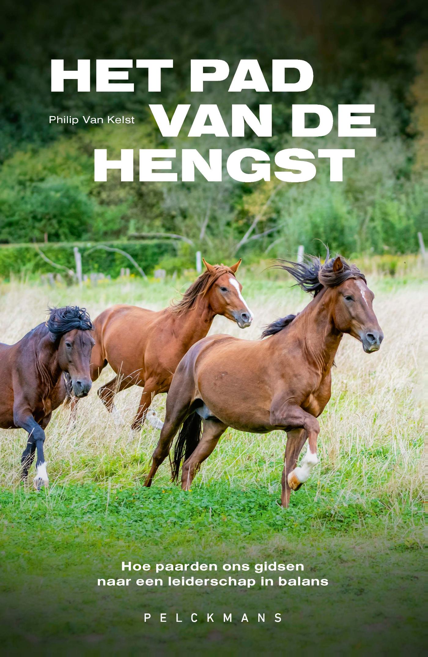 Omslag van Het pad van de hengst