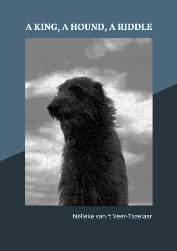 Omslag van A KING, A HOUND, A RIDDLE