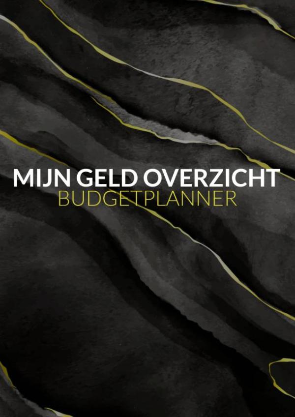 Omslag van Mijn geld overzicht - budgetplanner