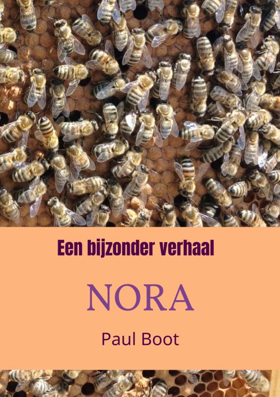Omslag van Een bijzonder verhaal Nora