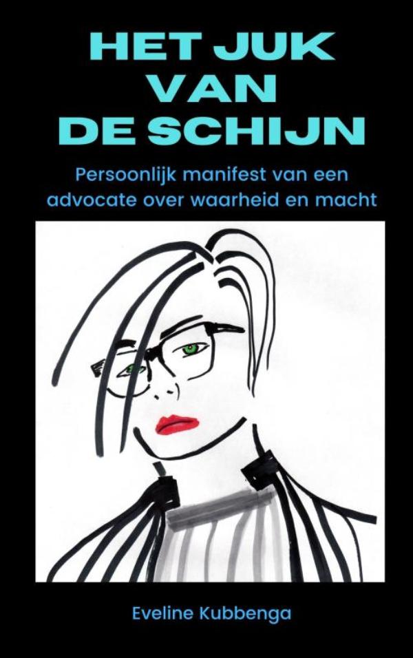 Omslag van Het juk van de schijn