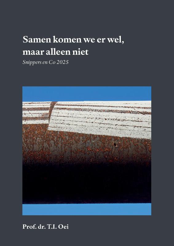 Omslag van Samen komen we er wel