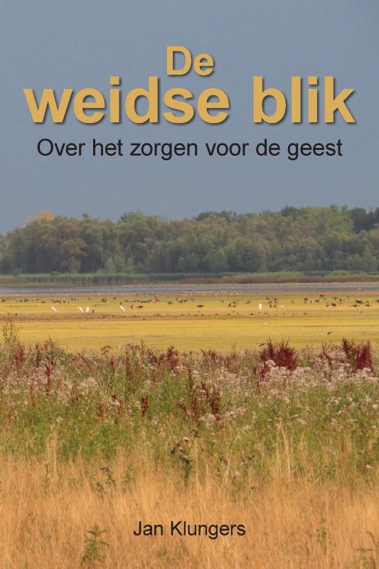 Omslag van De weidse blik