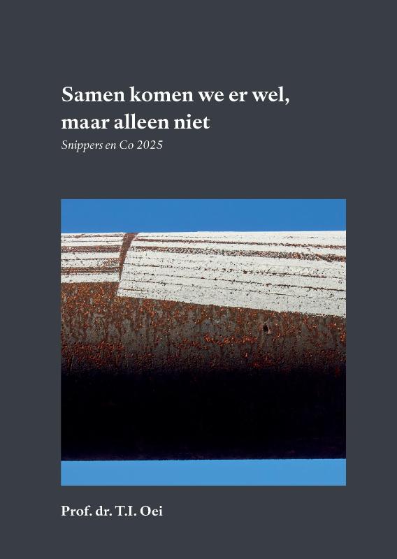 Omslag van Samen komen we er wel