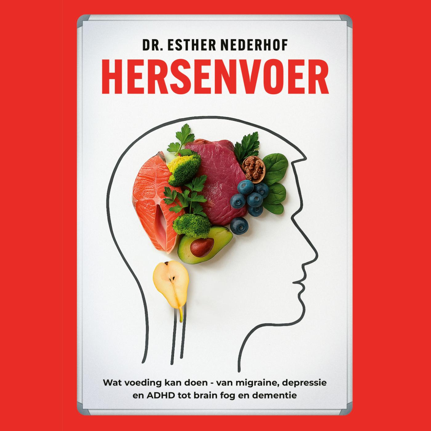 Omslag van Hersenvoer