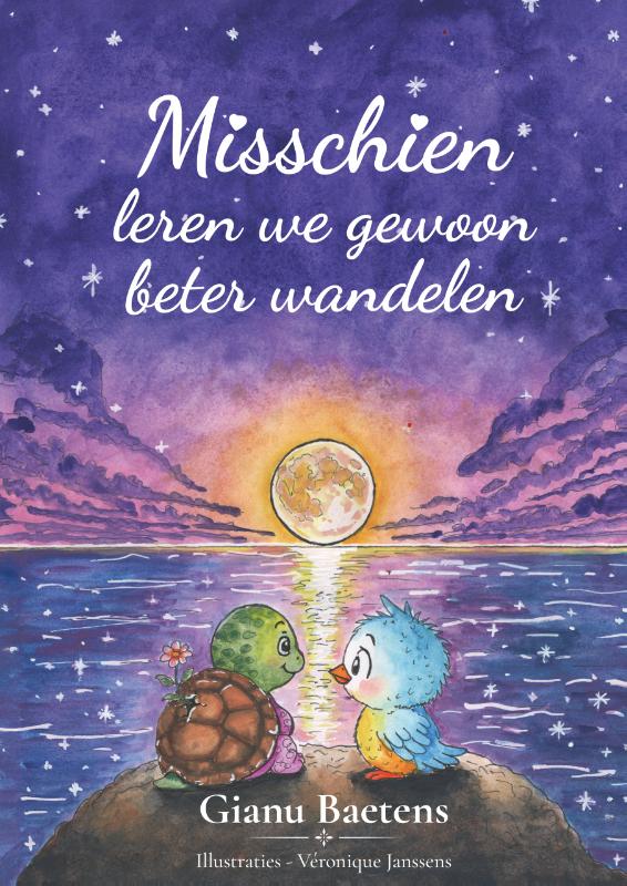 Omslag van Misschien leren we gewoon beter wandelen