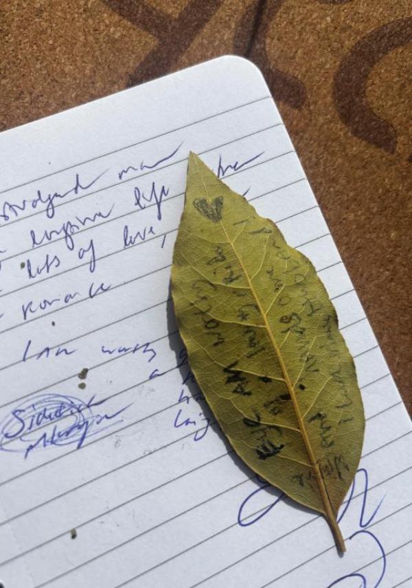 Omslag van Smoking Syllables