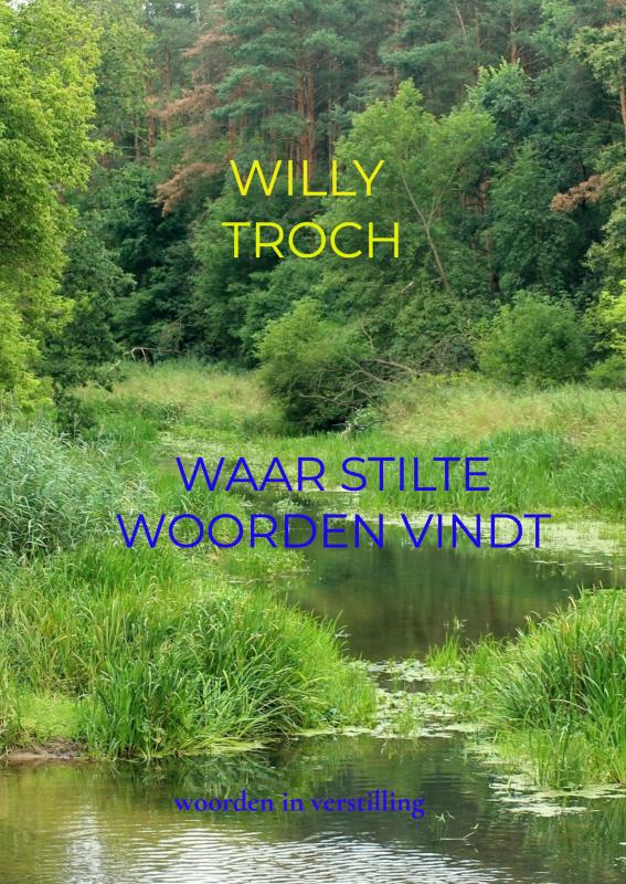 Omslag van Waar stilte woorden vindt