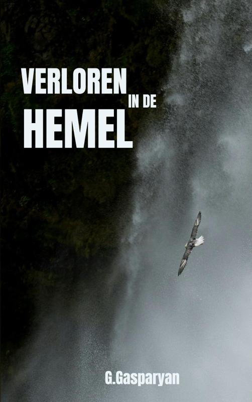 Omslag van Verloren in de hemel