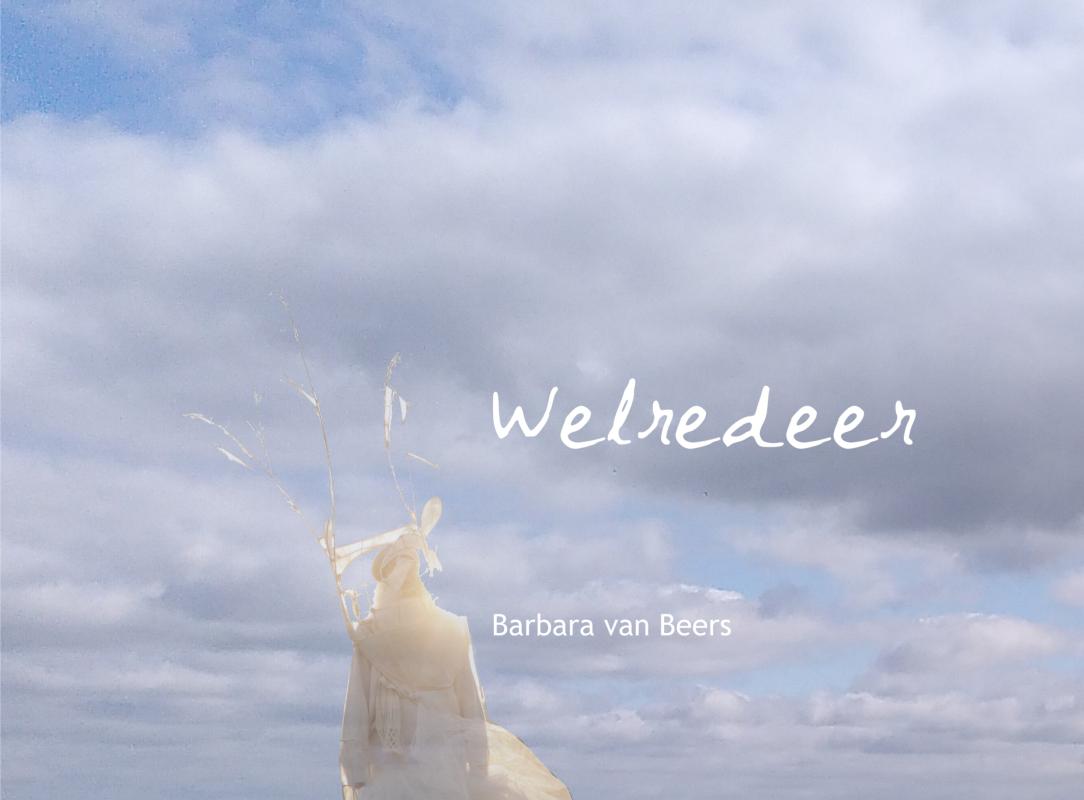 Omslag van Welredeer