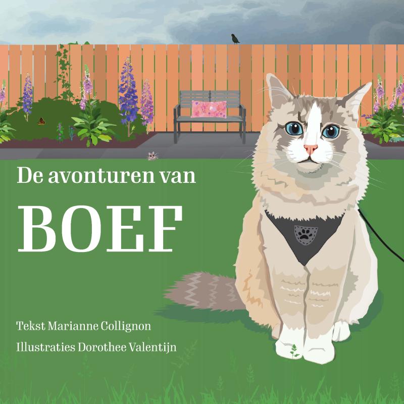 Omslag van De avonturen van Boef