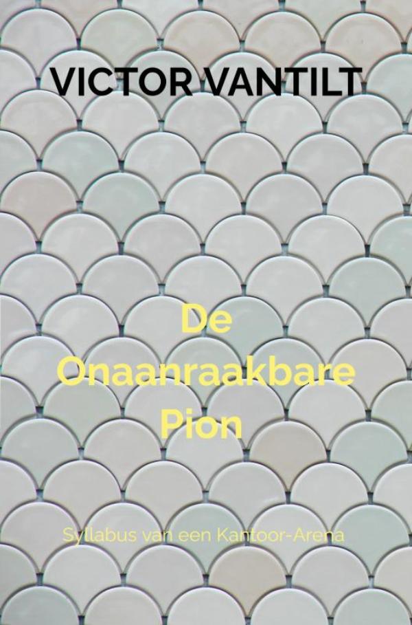 Omslag van De onaanraakbare pion