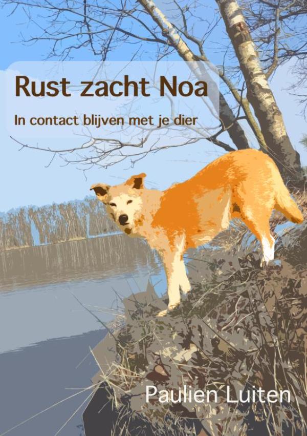 Omslag van Rust zacht Noa