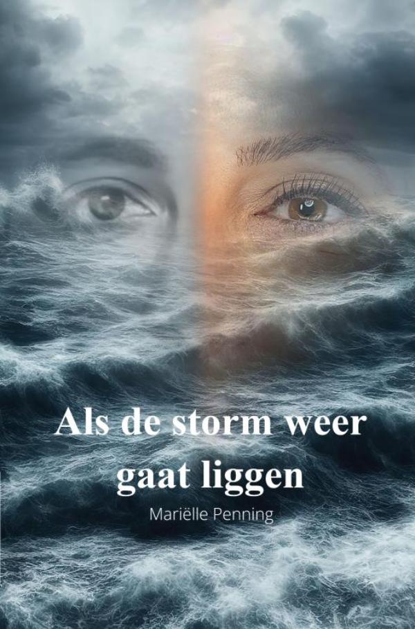 Omslag van Als de storm weer gaat liggen