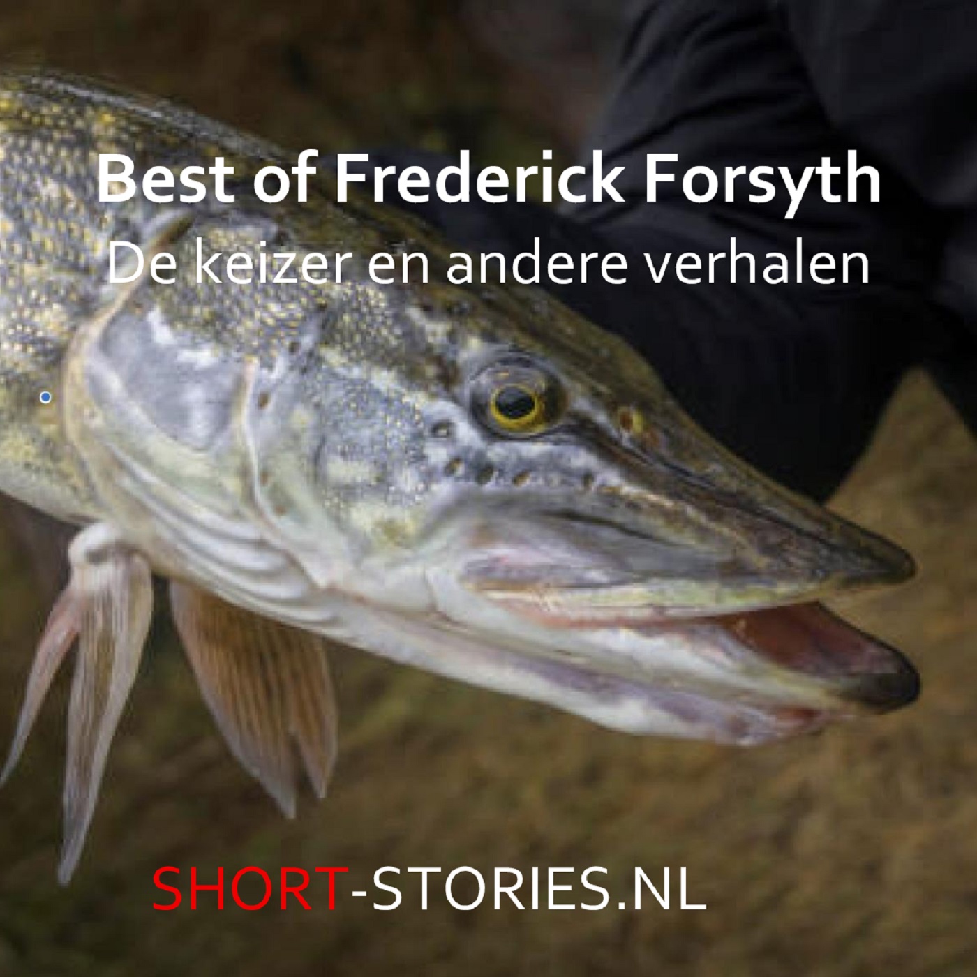 Omslag van Best of Frederick Forsyth