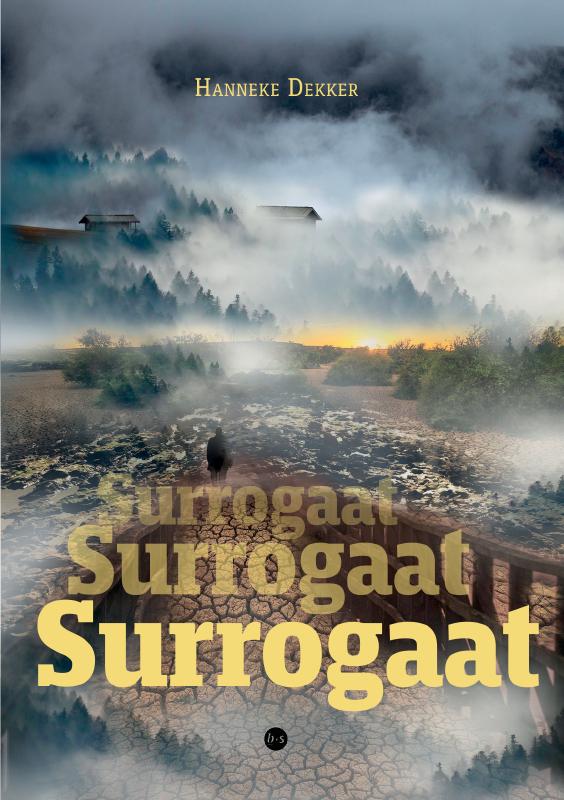 Omslag van Surrogaat