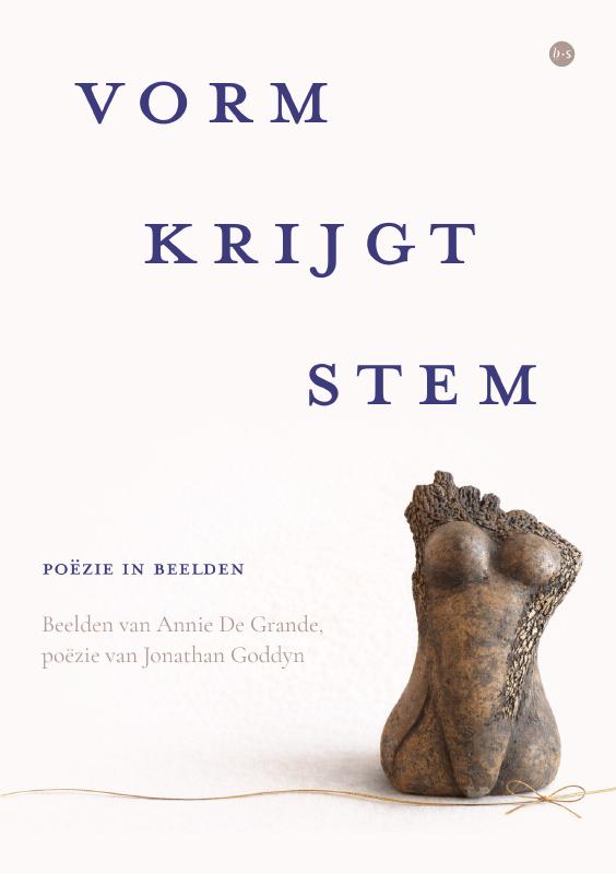 Omslag van Vorm krijgt stem